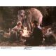 INDIANA JONES ET LE TEMPLE MAUDIT Photo de film N2 - 28x36 cm. - 1984 - Harrison Ford, Steven Spielberg