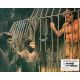 LA PLANETE DES SINGES Photo de film N02 - 21x30 cm. - 1968 - Charlton Heston, Franklin J. Schaffner