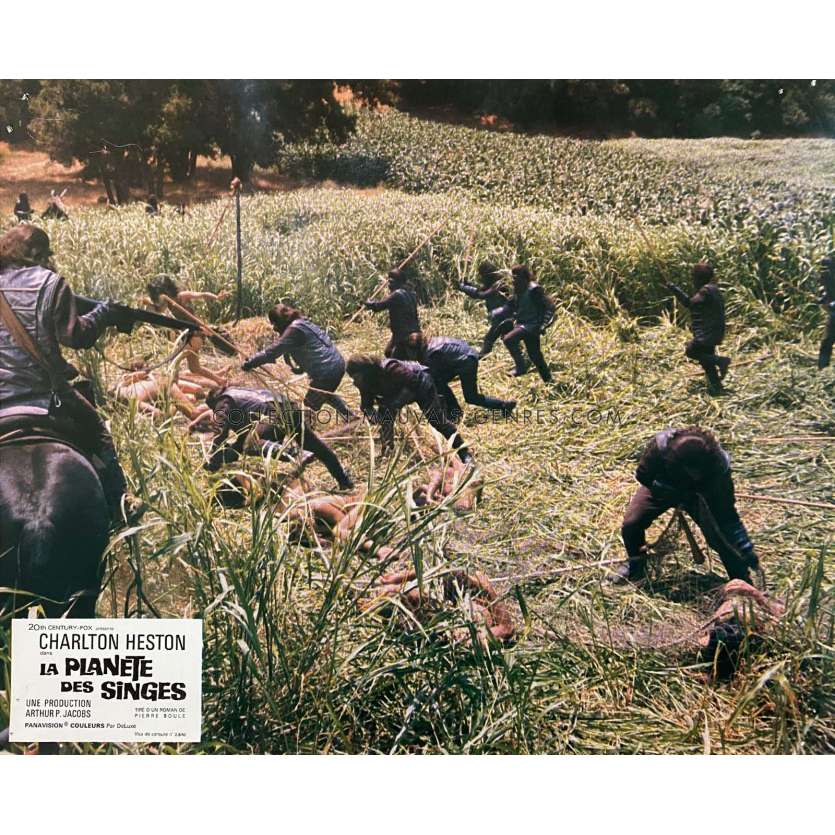 PLANET OF THE APES Lobby Cards N14 - 9x12 in. - 1968 - Franklin J. Schaffner, Charlton Heston