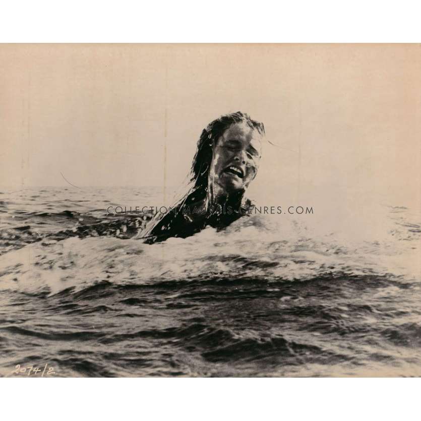 JAWS Original Movie Still 2074-2 - 8x10 in. - 1975 - Steven Spielberg, Roy Sheider