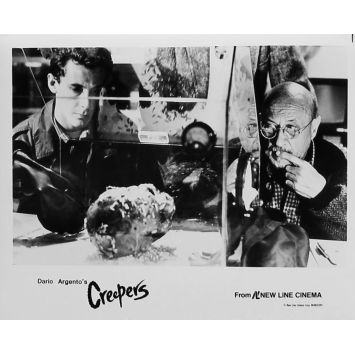 CREEPERS Original Movie Still N06 - 8x10 in. - 1985 - Dario Argento, Jennifer Connely