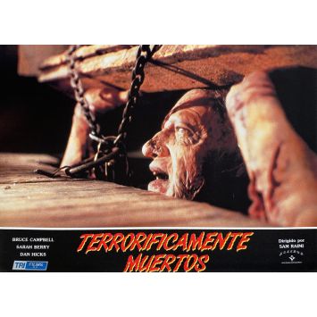 EVIL DEAD 2 Photo de film N04 - 23x32 cm. - 1987 - Bruce Campbell, Sam Raimi