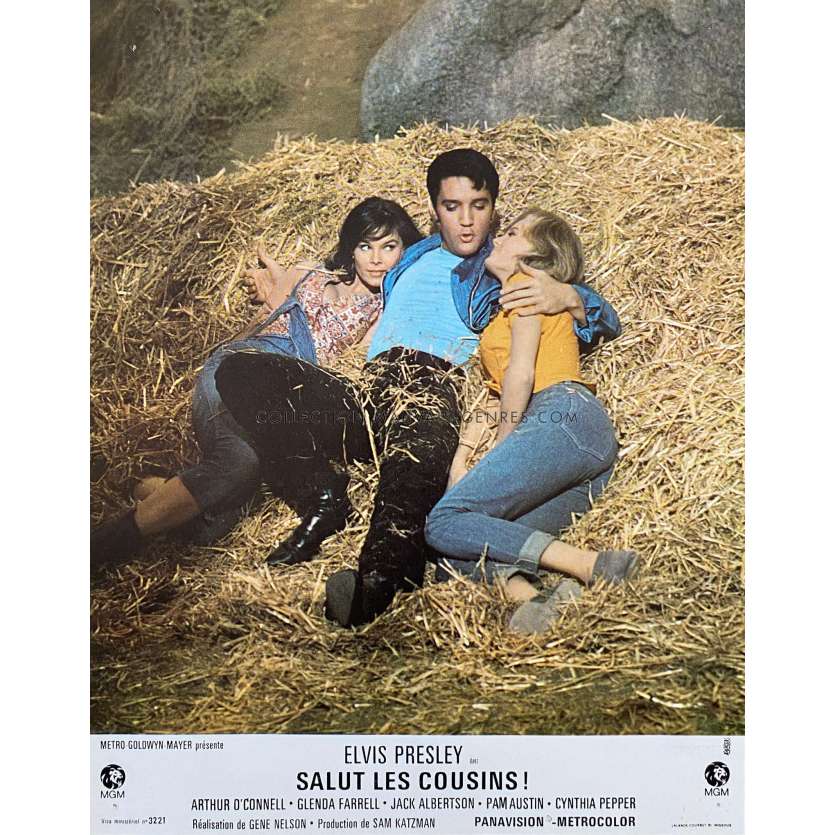 SALUT LES COUSINS Photo de film N01 - 21x30 cm. - 1964 - Elvis Presley, Gene Nelson