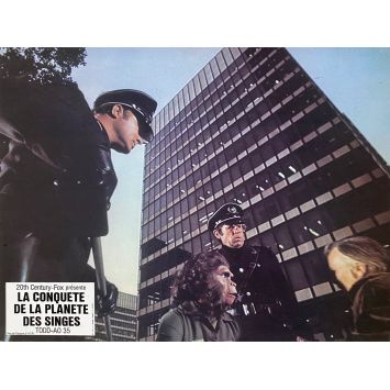 LA CONQUETE DE LA PLANETE DES SINGES Photo de film N01 - 21x30 cm. - 1972 - Roddy McDowall, J. Lee Thomson