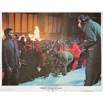 LA CONQUETE DE LA PLANETE DES SINGES Photo de film N06 - 28x36 cm. - 1972 - Roddy McDowall, J. Lee Thomson