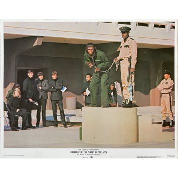 LA CONQUETE DE LA PLANETE DES SINGES Photo de film N07 - 28x36 cm. - 1972 - Roddy McDowall, J. Lee Thomson