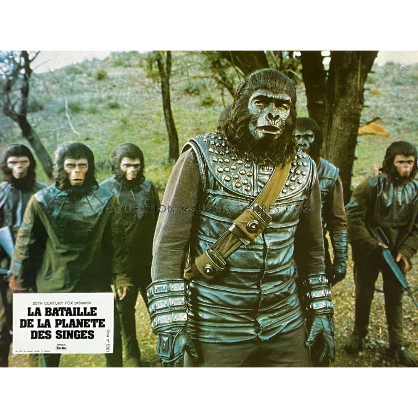 LA BATAILLE DE LA PLANETE DES SINGES Photo de film N08 - 21x30 cm. - 1973 - Roddy McDowall, J. Lee Thompson