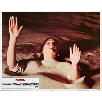 PHASE IV US Lobby Card N04 - 11x14 in. - 1974 - Saul Bass, Nigel Davenport