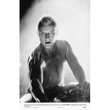 BLADE RUNNER Photo de presse BK-647 - 20x25 cm. - 1982 - Harrison Ford, Ridley Scott