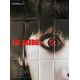 THE GRUDGE 2 Affiche de film- 120x160 cm. - 2006 - Amber Tamblyn, Takashi Shimizu