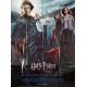 HARRY POTTER ET LA COUPE DE FEU Affiche de film- 120x160 cm. - 2005 - Daniel Radcliffe, Mike Newell