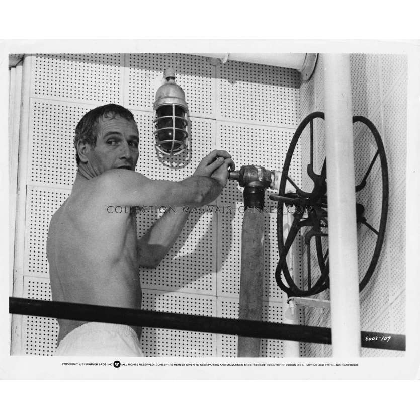 THE DROWNING POOL US Movie Still 8003-109 - 8x10 in. - 1975 - Stuart Rosenberg, Paul Newman