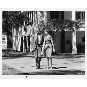LA TOILE D'ARAIGNEE Photo de presse 8003-2 - 20x25 cm. - 1975 - Paul Newman, Stuart Rosenberg