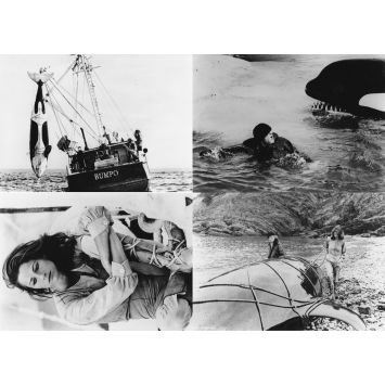 ORCA French Movie Press Stills x4 - 5x7 in. - 1977 - Michael Anderson, Richard Harris