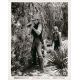JODY ET LE FAON Photo de presse 1186-107 - 20x25 cm. - 1946 - Gregory Peck, Clarence Brown