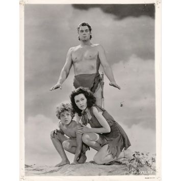 LE TRESOR DE TARZAN Photo de presse 1192-84 - 20x25 cm. - 1941 - Johnny Weissmuller, Richard Thorpe
