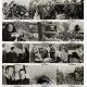 LE JOUR LE PLUS LONG Photos de film x12 - jeu B - 21x30 cm. - 1962 - John Wayne, Ken Annakin