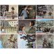 LOST COMMAND French Lobby Cards x9 - set B - 10x12 in. - 1966 - Mark Robson, Anthony Quinn