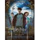 HARRY POTTER AND THE PRISONNER OF AZKABAN French Movie Poster- 47x63 in. - 2004 - Alfonso Cuaron, Daniel Radcliffe