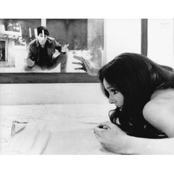 L'OISEAU AU PLUMAGE DE CRISTAL Photo de presse N03 - 20x25 cm. - 1970 - Tony Musante, Dario Argento