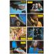 HALLOWEEN German Lobby Cards x8 - 9x11,5 in. - 1978 - John Carpenter, Jamie Lee Curtis