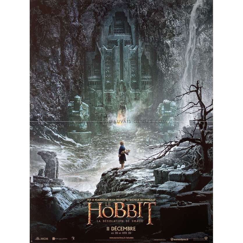 LE HOBBIT 2 LA DESOLATION DE SMAUG Affiche de film- 40x54 cm. - 2013 - Peter Jackson, Martin Freeman