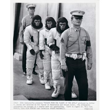 LES EVADES DE LA PLANETE DES SINGES Photo de presse EPA-2 - 20x25 cm. - 1971 - Don Taylor, Roddy McDowall