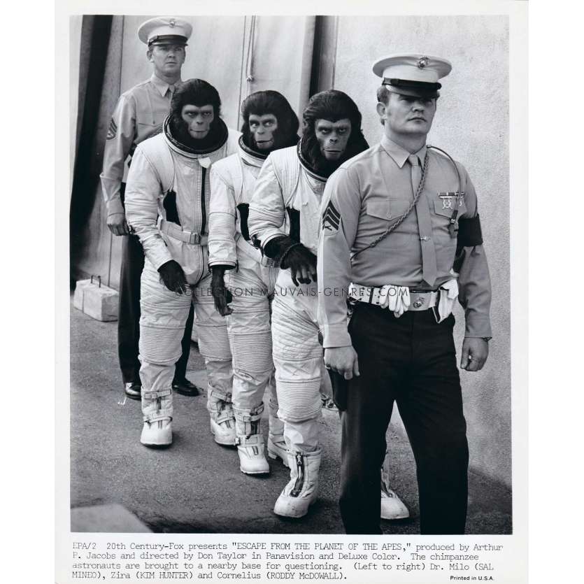 LES EVADES DE LA PLANETE DES SINGES Photo de presse EPA-2 - 20x25 cm. - 1971 - Don Taylor, Roddy McDowall