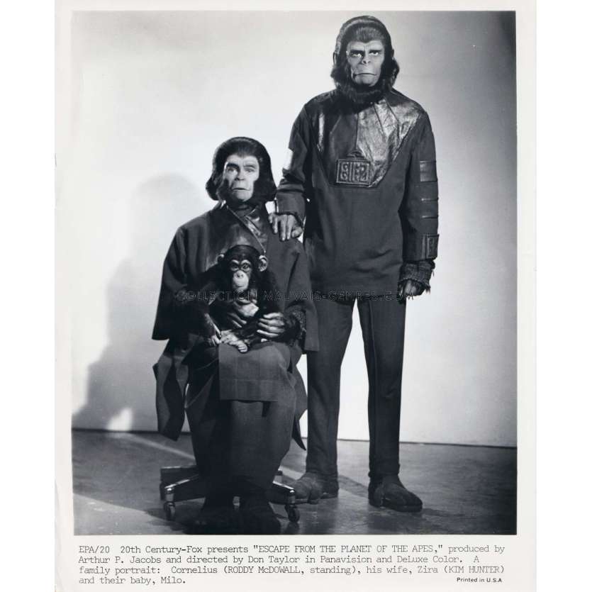 LES EVADES DE LA PLANETE DES SINGES Photo de presse EPA-20 - 20x25 cm. - 1971 - Don Taylor, Roddy McDowall