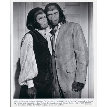LES EVADES DE LA PLANETE DES SINGES Photo de presse EPA-10 - 20x25 cm. - 1971 - Don Taylor, Roddy McDowall