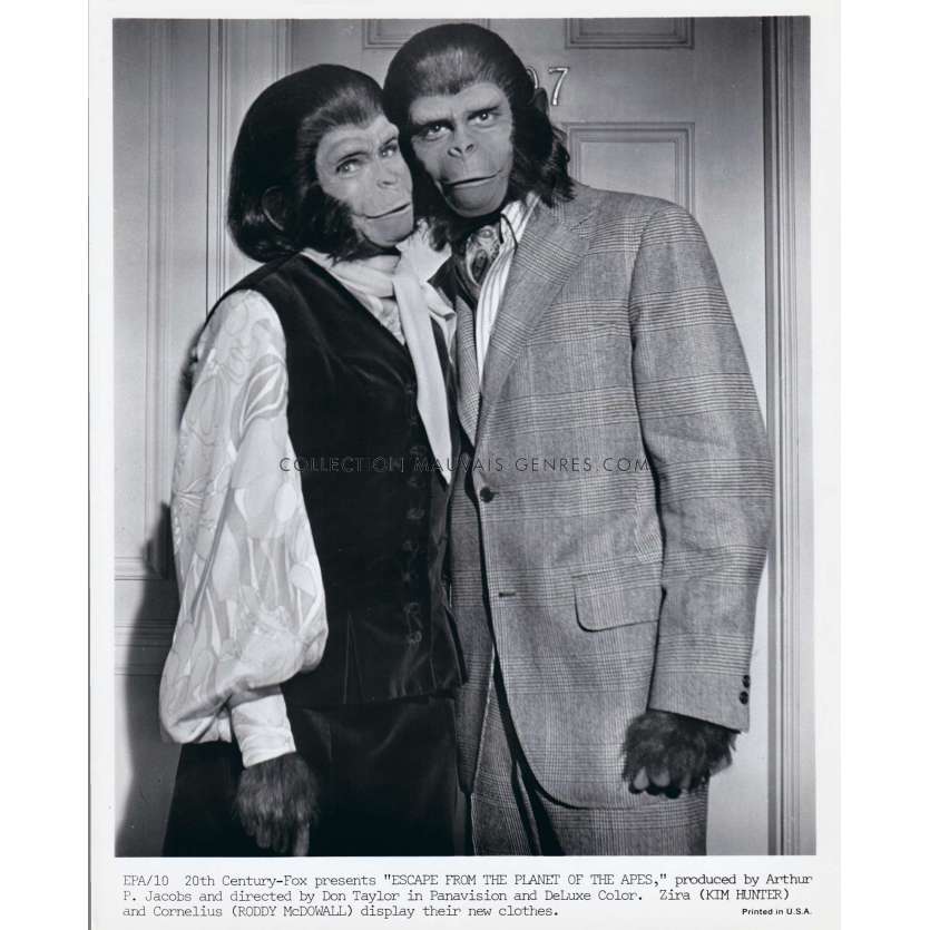 LES EVADES DE LA PLANETE DES SINGES Photo de presse EPA-10 - 20x25 cm. - 1971 - Don Taylor, Roddy McDowall
