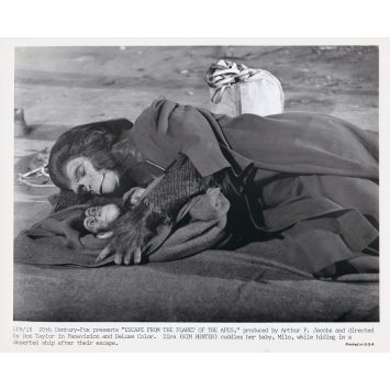 ESCAPE FROM THE PLANET OF THE APES U.S Movie Still EPA-15 - 8x10 in. - 1971 - Don Taylor, Roddy McDowall