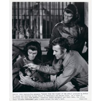 LES EVADES DE LA PLANETE DES SINGES Photo de presse EPA-19 - 20x25 cm. - 1971 - Don Taylor, Roddy McDowall