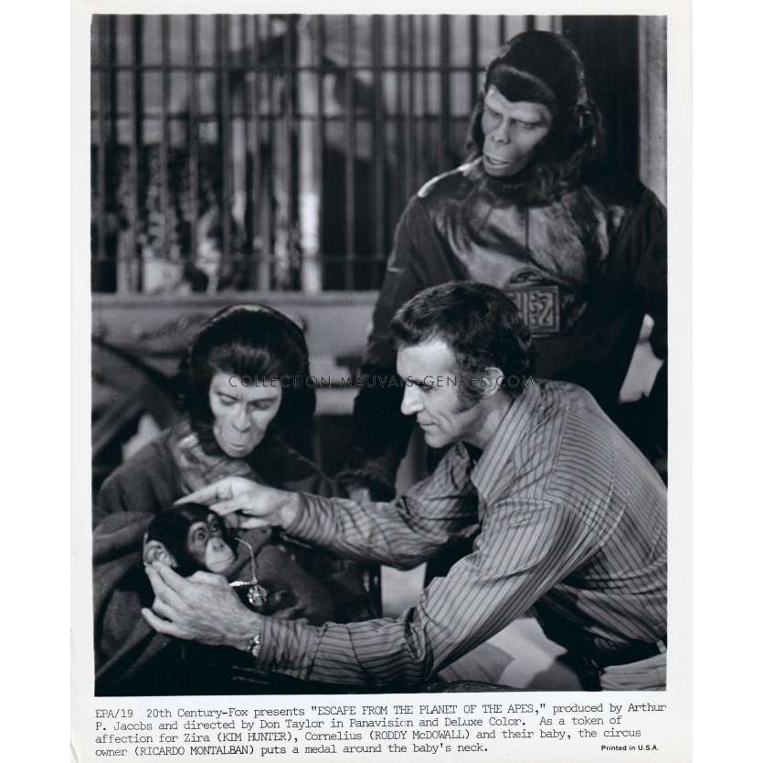 LES EVADES DE LA PLANETE DES SINGES Photo de presse EPA-19 - 20x25 cm. - 1971 - Don Taylor, Roddy McDowall