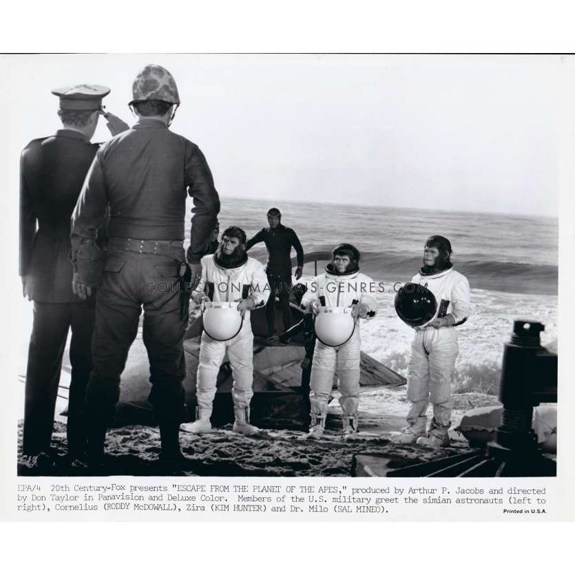 LES EVADES DE LA PLANETE DES SINGES Photo de presse EPA-4 - 20x25 cm. - 1971 - Don Taylor, Roddy McDowall