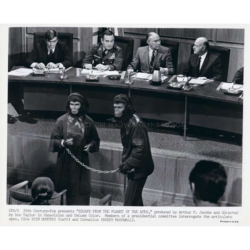 LES EVADES DE LA PLANETE DES SINGES Photo de presse EPA-5 - 20x25 cm. - 1971 - Don Taylor, Roddy McDowall