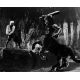 GOLDEN VOYAGE OF SINBAD Press still N2 - 1973 - Ray Harryhausen!