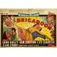 BRIGADOON Belgian Movie Poster- 14x21 in. - 1954 - Vincente Minnelli, Gene Kelly