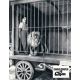 LE CIRQUE Photo de film N08 - 22x28 cm. - 1928/R1960 - Charles Chaplin, Merna Kennedy