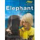 ELEPHANT Affiche de cinéma- 120x160 cm. - 2003 - Gus Van Sant, Elias McConnell