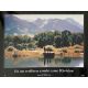 ET AU MILIEU COULE UNE RIVIERE Photo de film N02 - 30x40 cm. - 1992 - Robert Redford, Brad Pitt