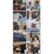 LA FLIC CHEZ LES POULETS Photos de film x10 - 22x28 cm. - 1976 - Michele Tarantini, Edwige Fenech