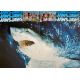 LES DENTS DE LA MER Programme 32p. - 20x25 cm. - 1975 - Steven Spielberg, Roy Sheider