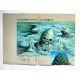 NAUSICAA Programme 20p - 21x30 cm. - 1984 - Hayao Miyazaki, Sumi Shimamoto