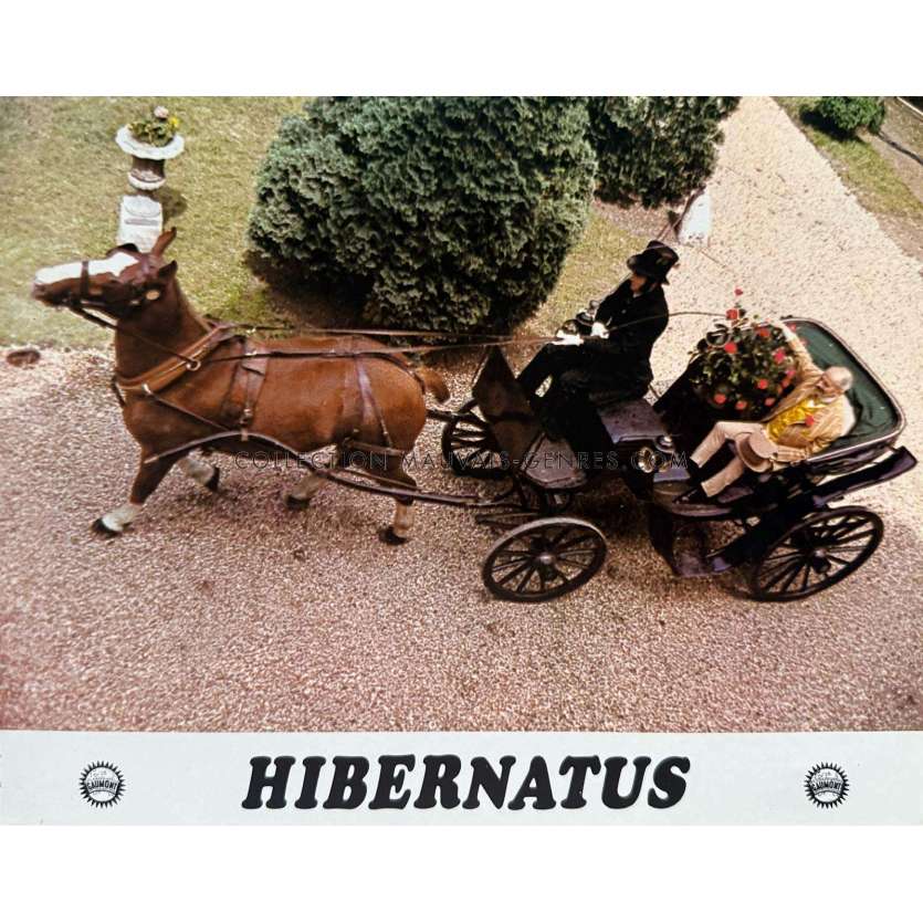 HIBERNATUS French Lobby Card N01 - 9x12 in. - 1969 - Louis de Funes, Edouard Molinaro