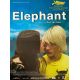 ELEPHANT French Movie Poster- 15x21 in. - 2003 - Elias McConnell, Gus Van Sant