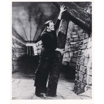 FRANKENSTEIN Photo de presse américaine 310-1-90 - 20x25 cm. - 1931/R1970 - Boris Karloff, James Whale