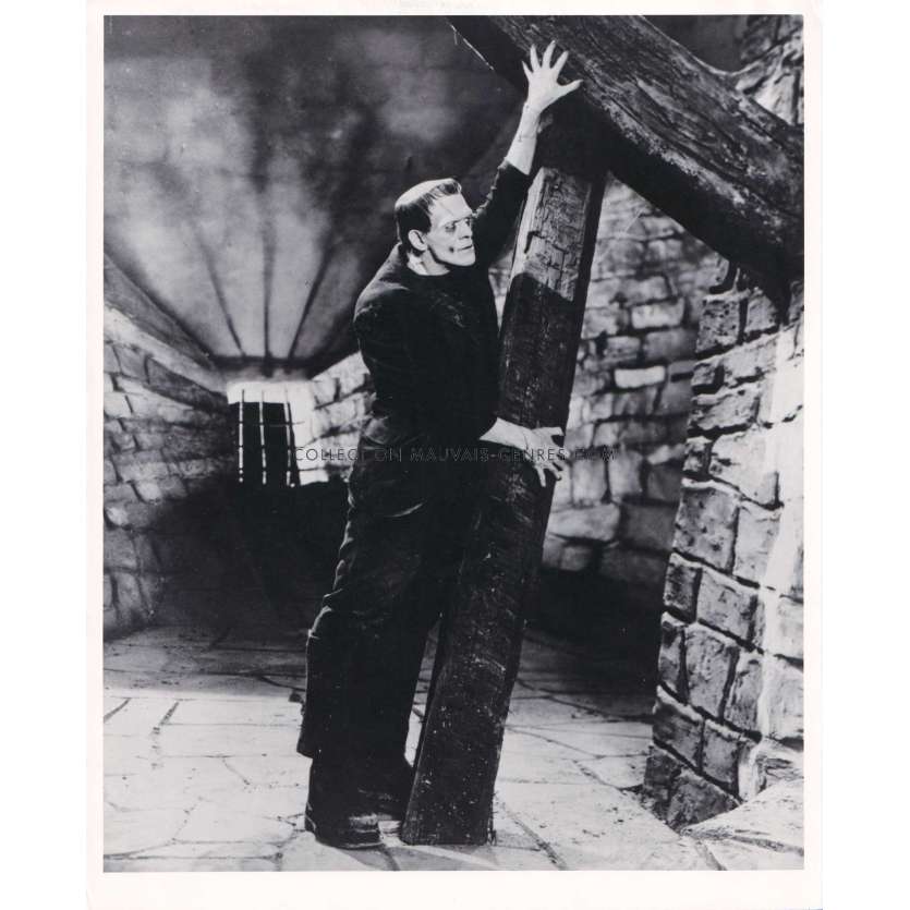 FRANKENSTEIN U.S Movie Still 310-1-90 - 8x10 in. - 1931/R1970 - Boris Karloff, James Whale