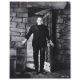 FRANKENSTEIN U.S Movie Still N2 - 8x10 in. - 1931/R1970 - Boris Karloff, James Whale