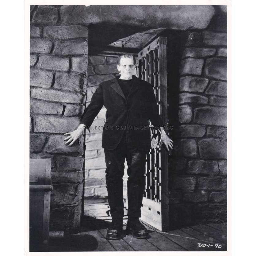 FRANKENSTEIN U.S Movie Still N2 - 8x10 in. - 1931/R1970 - Boris Karloff, James Whale